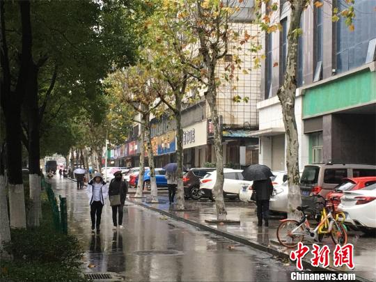 武汉进入阴雨模式，气温偏低 马芙蓉 摄