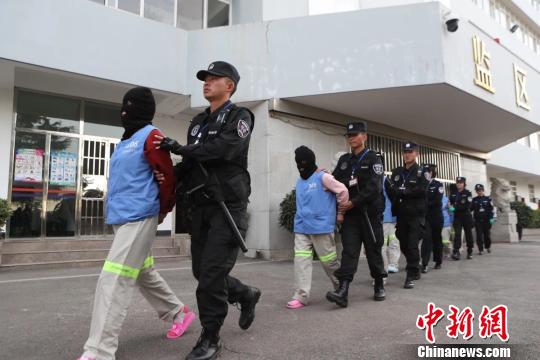 图为被抓获的涉嫌诈骗犯罪嫌疑人?！±ッ魇泄簿止┩?摄