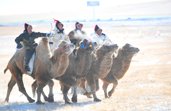 微信图片_20181224080322 微信图片_20181224080322