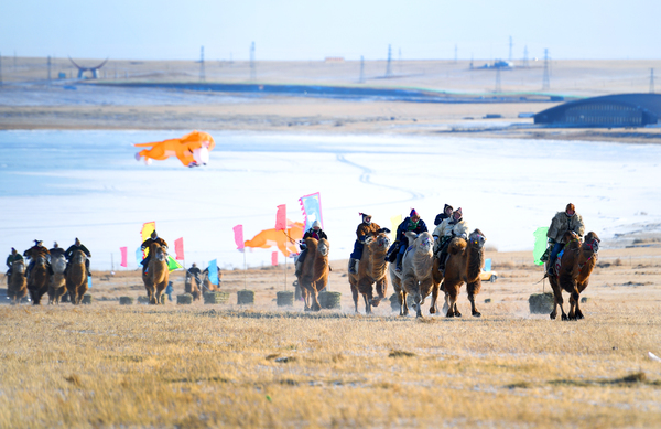 8、你追我赶的赛骆驼