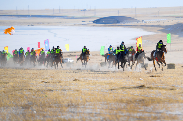 10、那达慕上的赛马