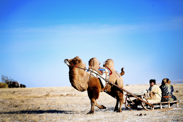15美丽的呼伦贝尔冬季草原风情