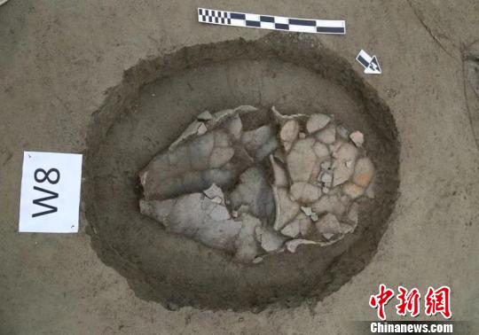 图为瓮棺葬?！≈有?摄