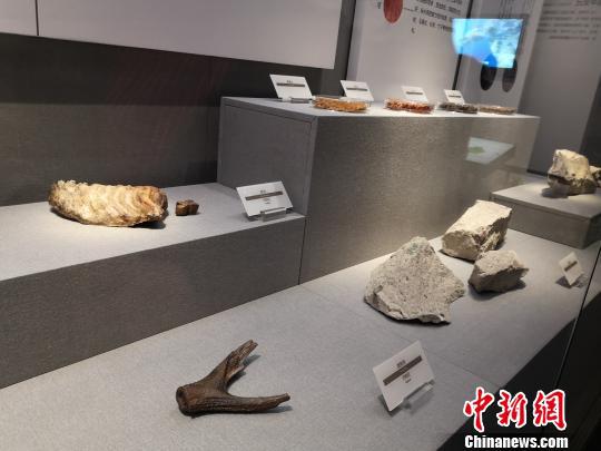 陈列的展品。　童笑雨 摄