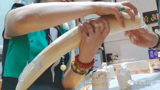 2018年8月11日，北京十里河雅园国际珠宝厅，一猛犸象牙销售商向记者展示店内隐藏的现代象牙。 新京报记者王嘉宁 摄