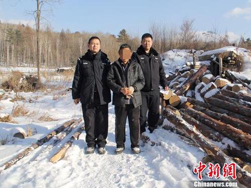 “光头强”寒冬藏深山盗伐林木以为警察不会趟雪巡查
