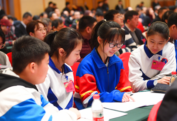 008学生模拟小委员列席会议