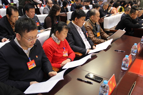 北京市大兴区政协五届三次会议现场2