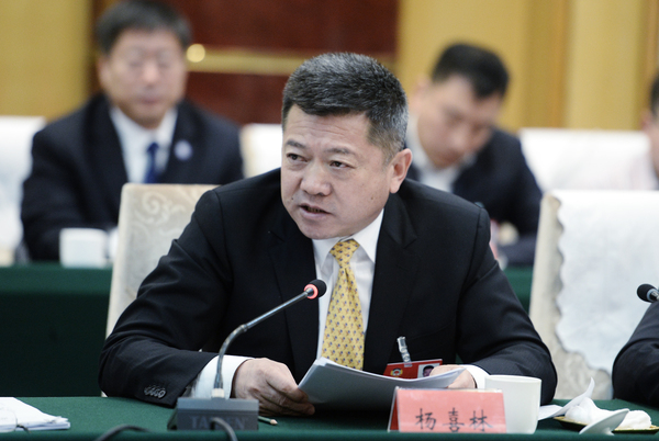 3、杨喜林委员发言