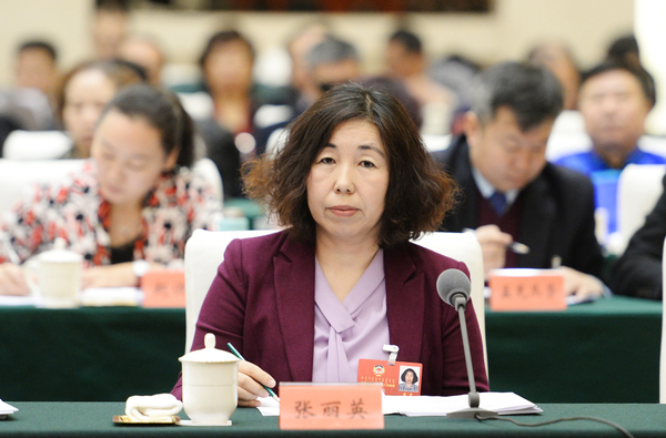 006、张丽英委员发言 - 副本