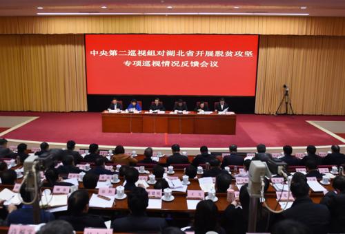 中央第二巡视组向湖北省委反馈巡视情况。 图片来源：中央纪委国家监委网站