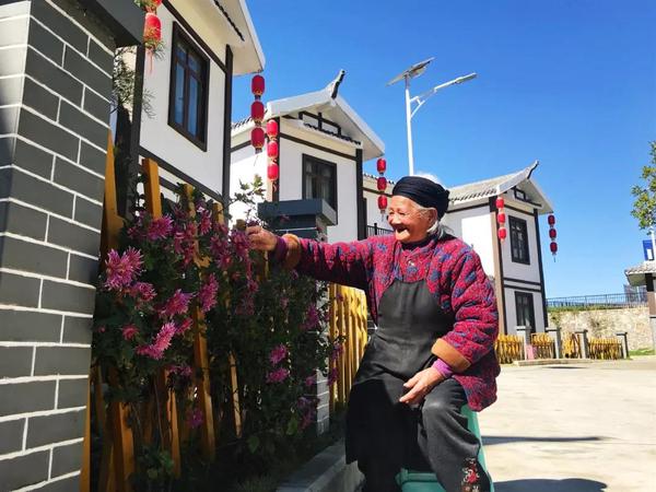 张奶奶门前赏花