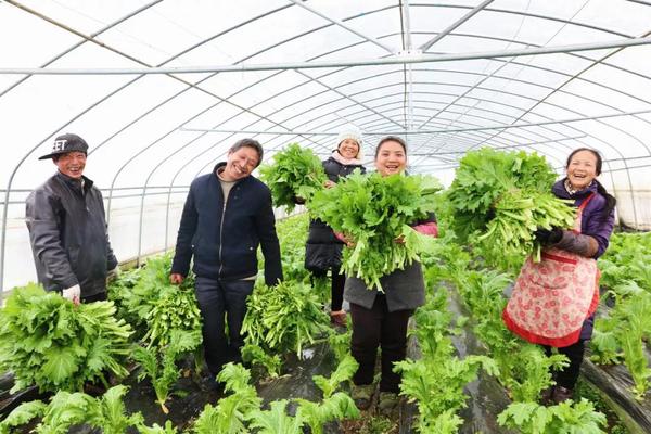 彭德友（左二）与工友们喜获丰收