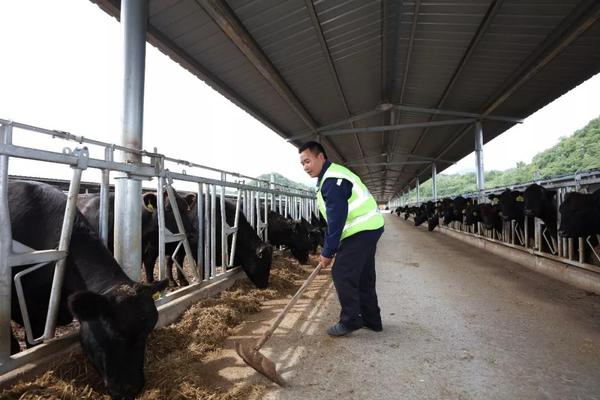 丁学志在育种场务工