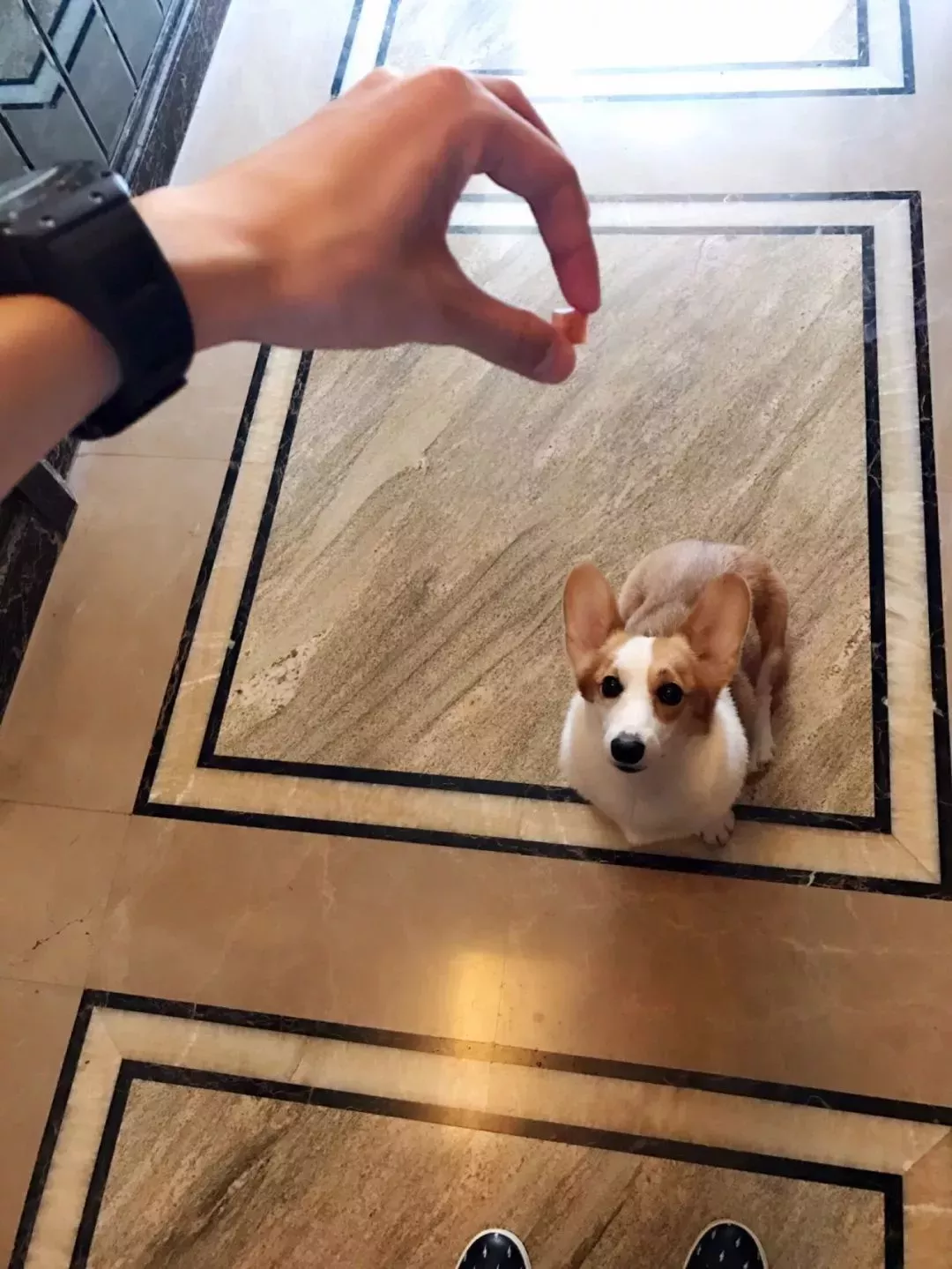 90后姑娘为躲亲戚催婚 连续3年春节长假一人游