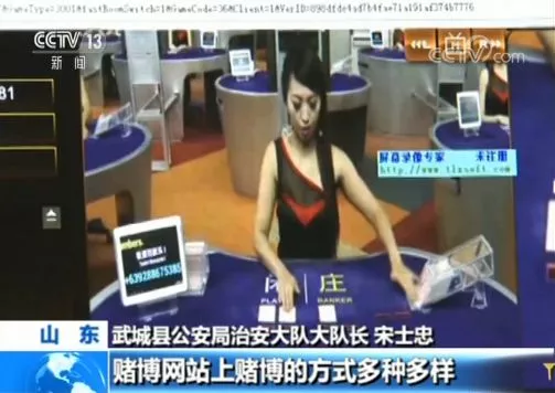 团伙赌资流水达数百亿落网：23万人参赌无一人能赢