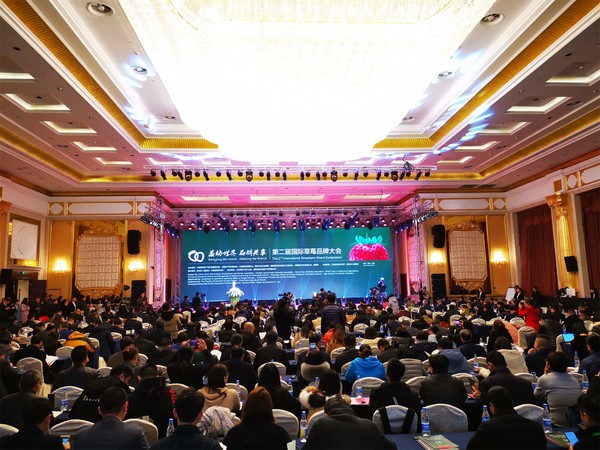 第二届国际草莓品牌大会现场