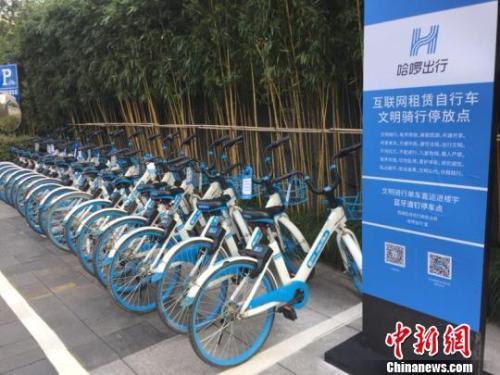 哈啰单车停放点。应新睿 摄