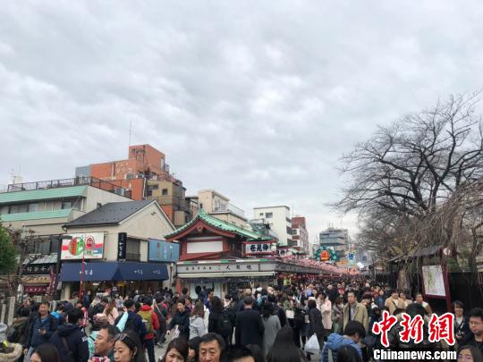 春季出境游升温原产地“打卡”、“种太阳”之旅等受追捧