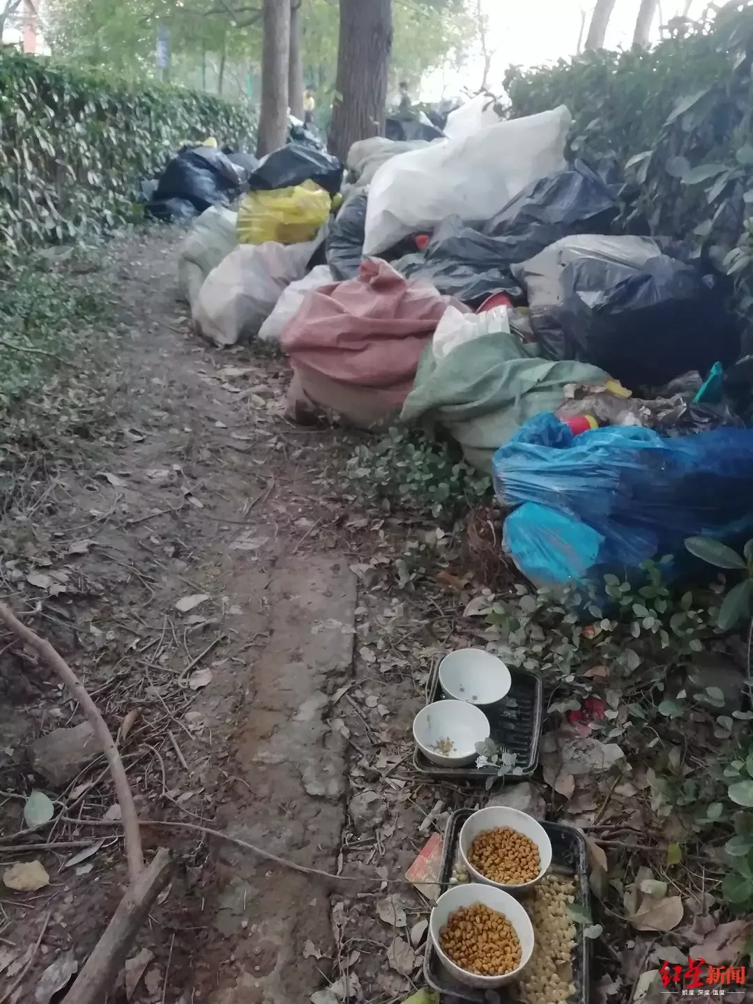 上海网红流浪汉系公务员 休病假26年工资照常领