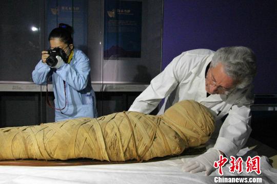 图为“不朽之旅——古埃及人的生命观”特展开箱布展现场，专家正在对文物进行点交?！≌韵?摄