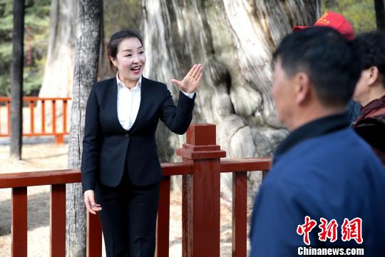 惠琼在黄帝陵景区讲解?！√锝?摄