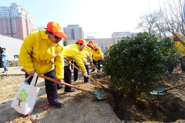 微信图片_20190404131318
