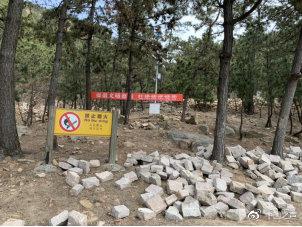 图片来源：中国之声