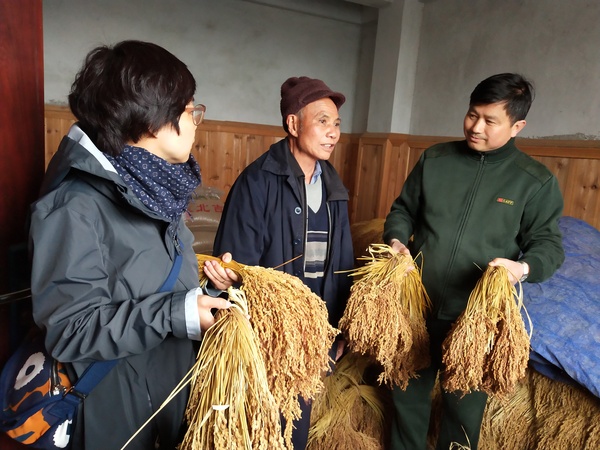 微信图片_20190407210115