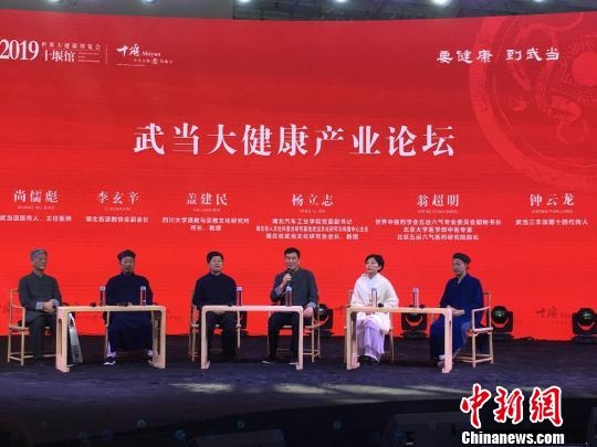 专家学者围绕武当山大健康产业发展展开研讨 马芙蓉 摄