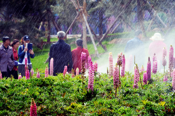 微信图片_20190419130505 微信图片_20190419130505