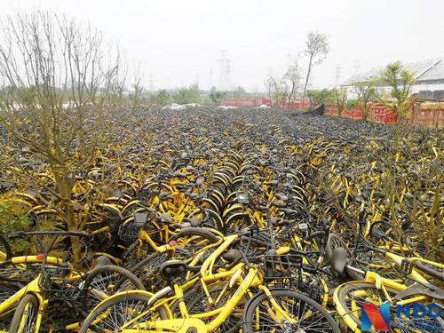 ofo三个月还厂家3500万 仍有1000多万人等着退押金