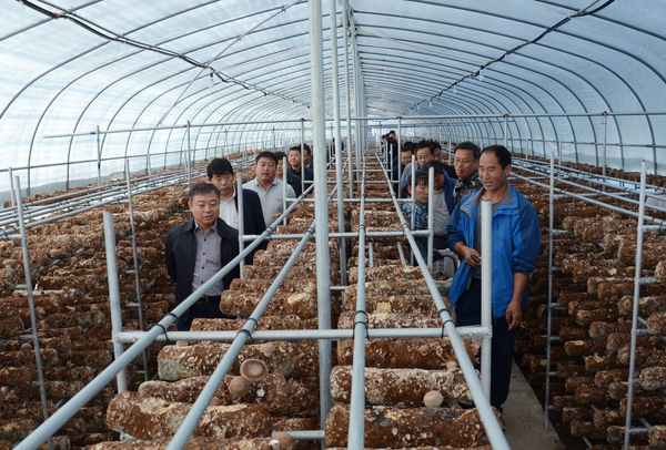 驻村干部党委组织到扶贫产业基地视察