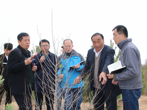 记者采访石光银