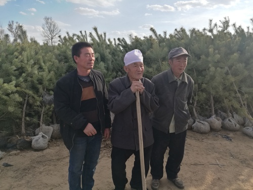 郭成旺父、子孙三代治沙人