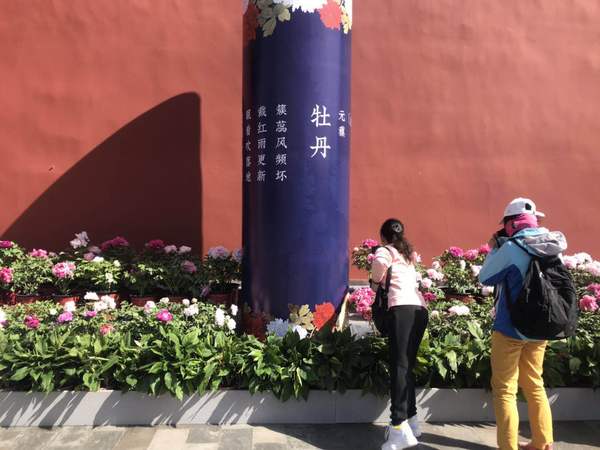 微信图片_20190430225606