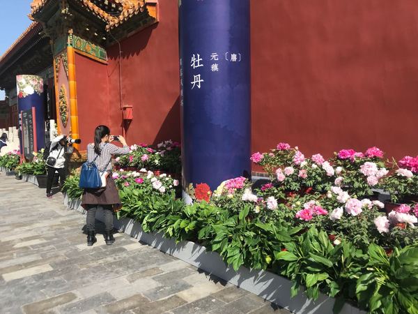 微信图片_20190430225929