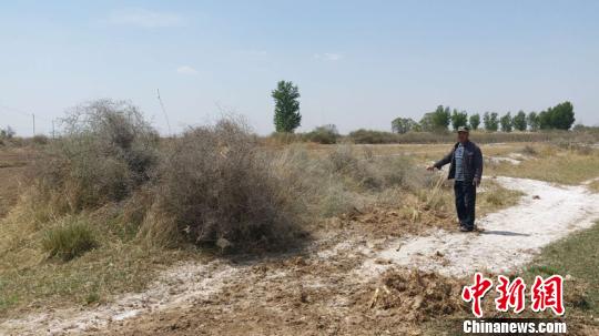 抗日女英雄、蒙古石王福晋奇俊峰将军墓址确定