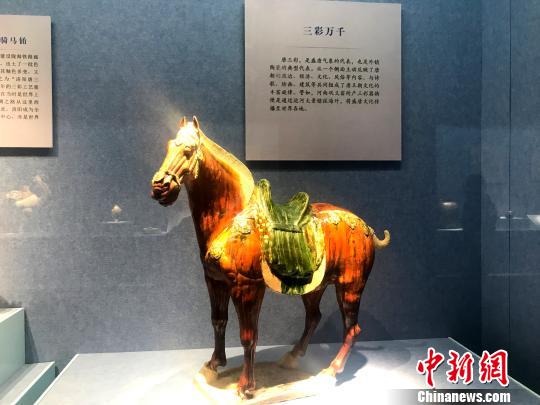 图为展出的唐三彩马?！〈藜衙?摄