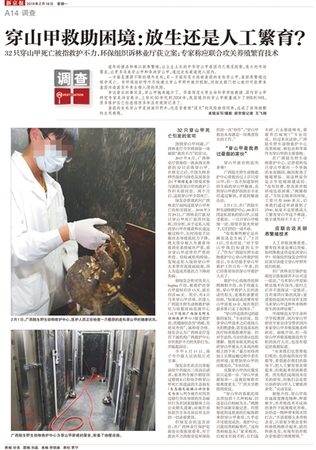 全国首例穿山甲公益诉讼案开庭 林业部门被控失职