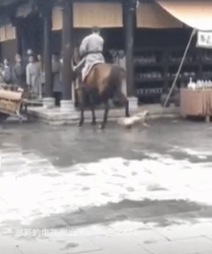 某剧组被指为拍戏让马踢狗 回应:未虐狗 勿传谣