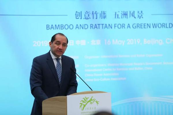 国际竹藤组织理事会主席国厄瓜多尔驻华大使卡洛斯·拉雷亚