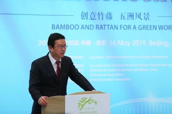 中国外交部国际经济司副司长黄昳扬