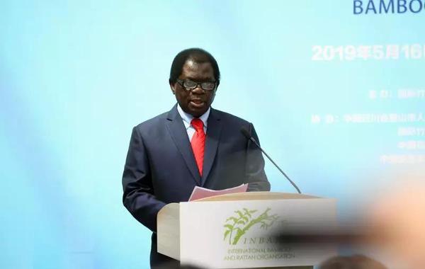 国际竹藤组织总干事穆秋姆