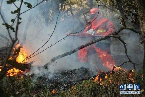 微信图片_20190522163641