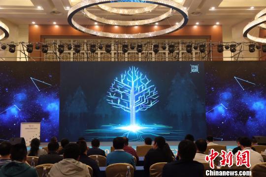 图为《2019中国地方政府数据开放报告》暨“中国开放数林指数”发布会现场。衣琼 摄