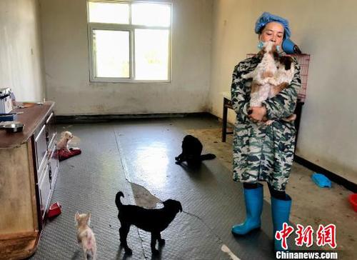 图为志愿者张晓京正在陪伴小狗?！∠挠?摄