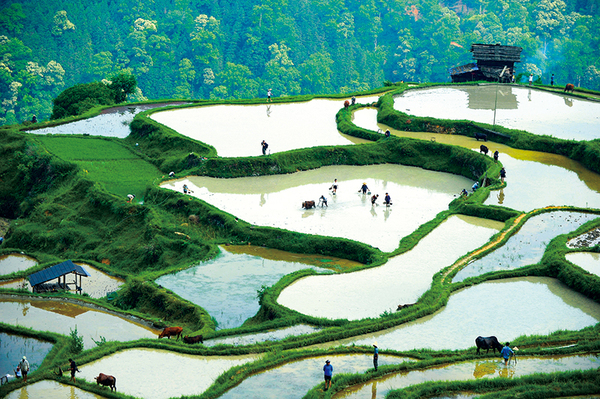 点击进入下一页