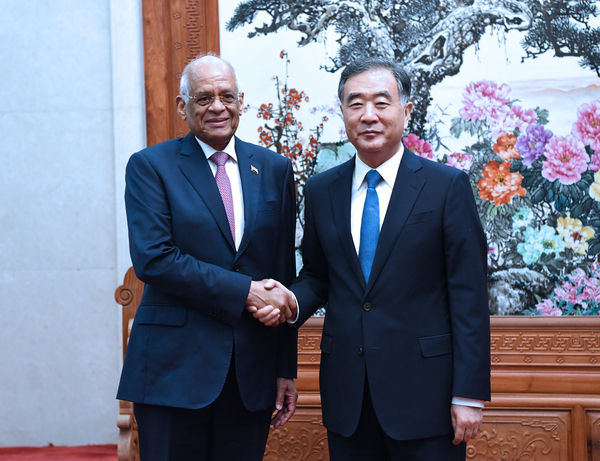 6月18日，全国政协主席汪洋在北京人民大会堂会见埃及议长阿里。 新华社记者 饶爱民 摄