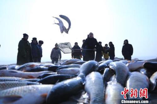 资料图：博斯腾湖冬捕现场。 年磊 摄